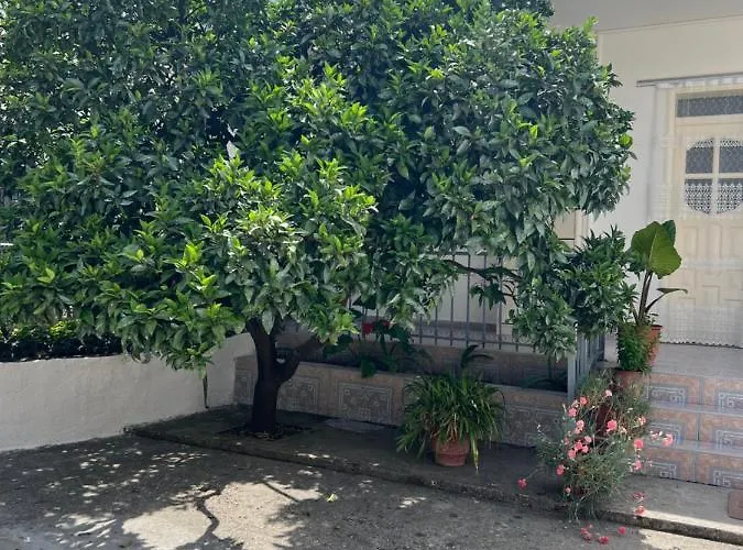 Rooms For Rent Habipi