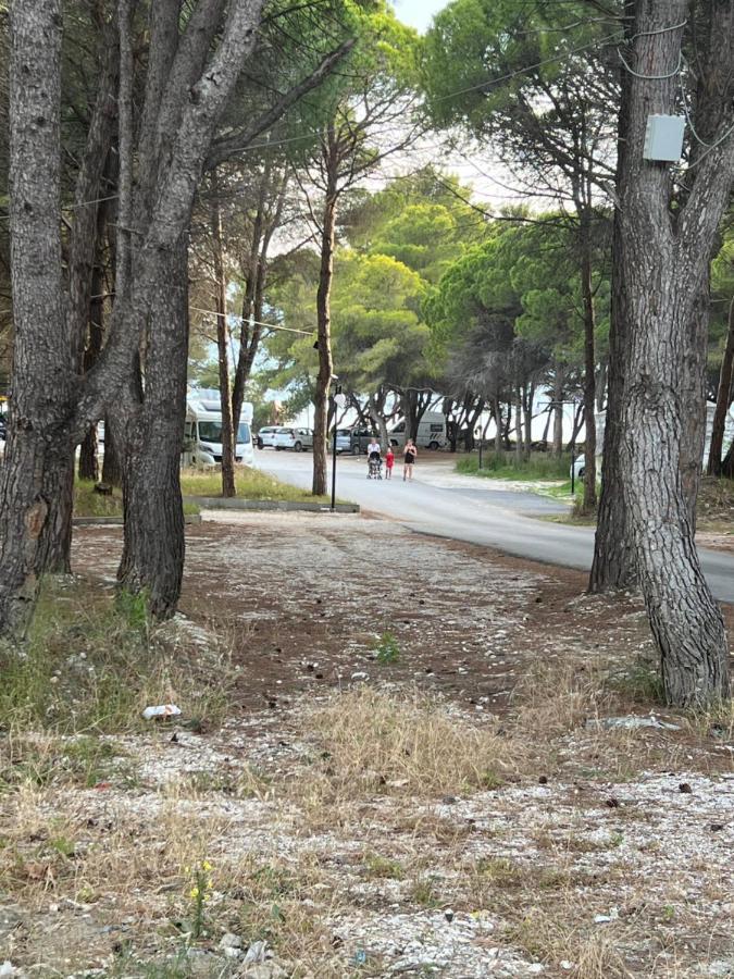 Gasthof For Rent Habipi